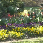 signs of Spring