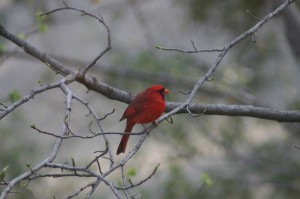 resized_img_3590