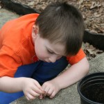 resized_img_3606