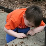 resized_img_3607