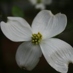 resized_img_3651