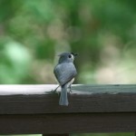 resized_img_4110