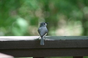 resized_img_4110