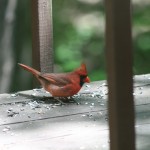 resized_img_4115