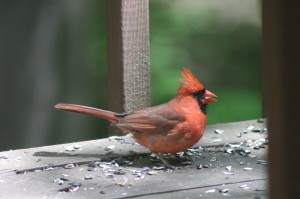resized_img_4116