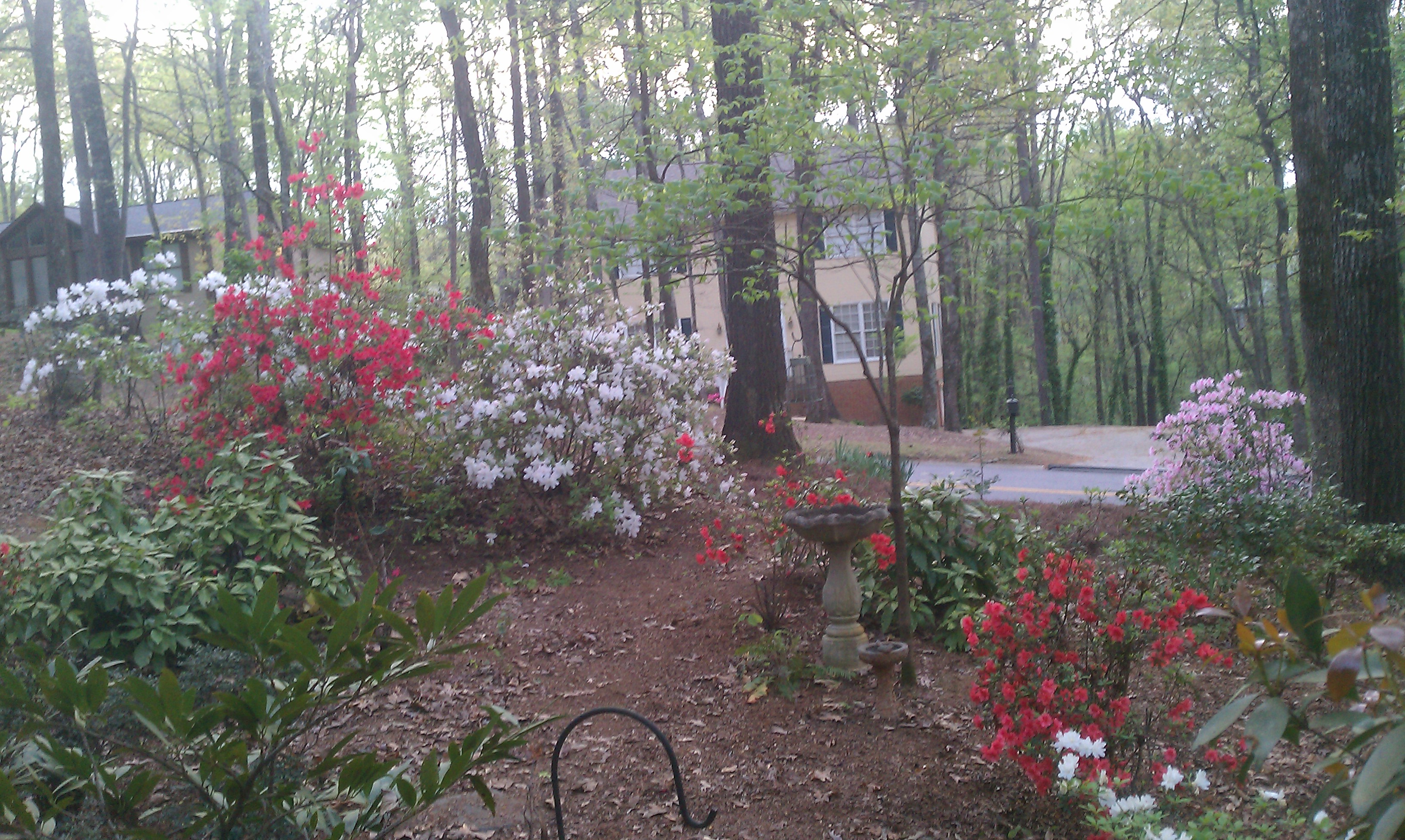 viewoutsidemywindow