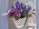 Lenten flowers