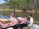 picnic
